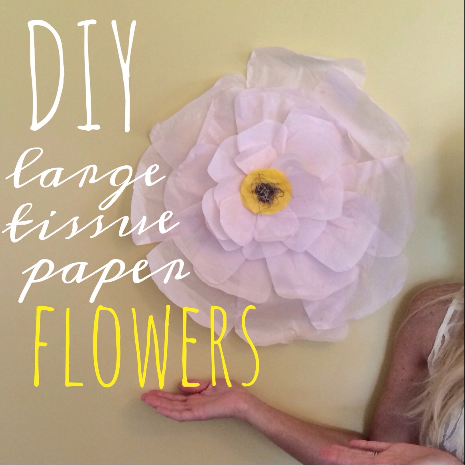diy: large tissue paper flowers